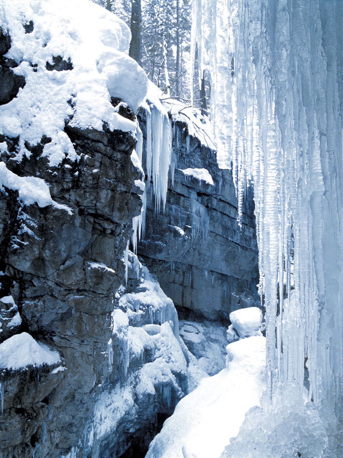 Eiszapfenlandschaft in der Breitachklamm im Kleinwalsertal
