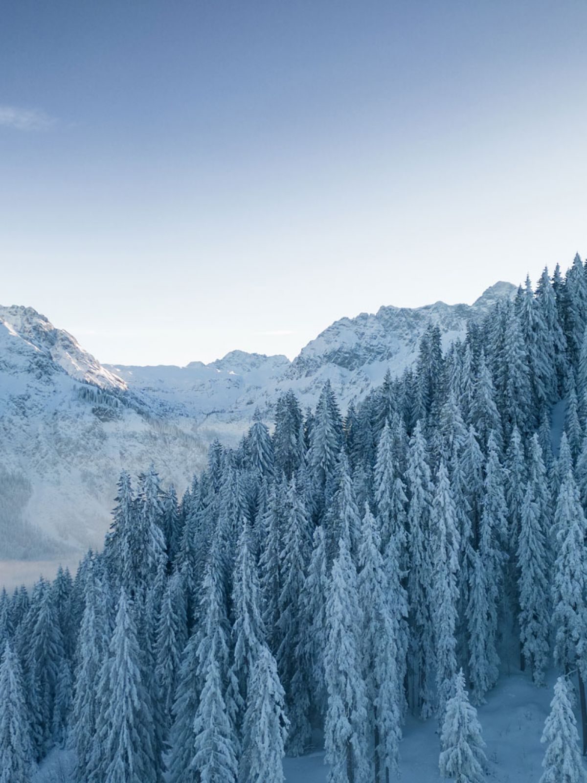 Winterurlaub in den Allgäuer Alpen im Hörnlepass Kleinwalsertal - Urlaub und Naturgenuss