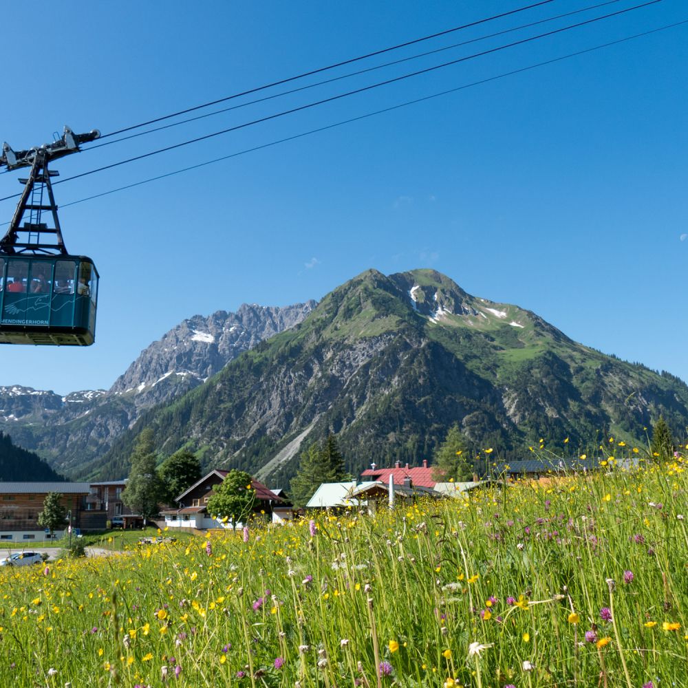 Sommer Bergbahn inklusive am Hörnlepass Kleinwalsertal